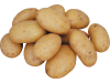 Potatoes - 15KG Pocket